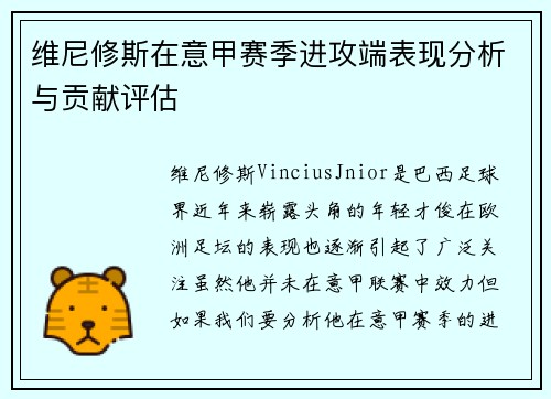 维尼修斯在意甲赛季进攻端表现分析与贡献评估